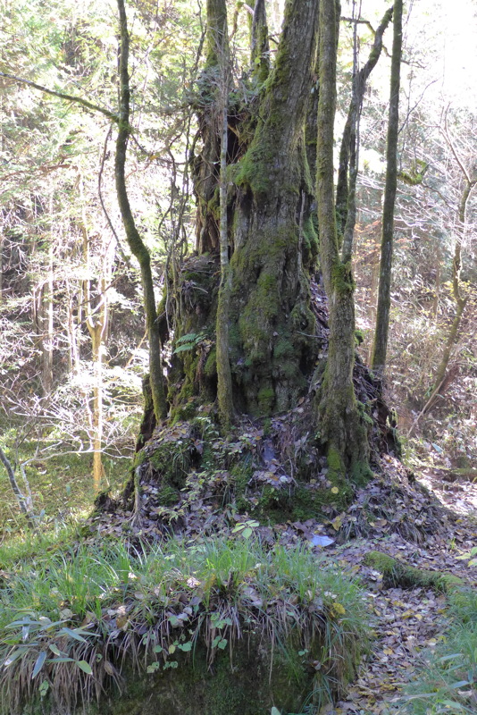 p1020323.jpg