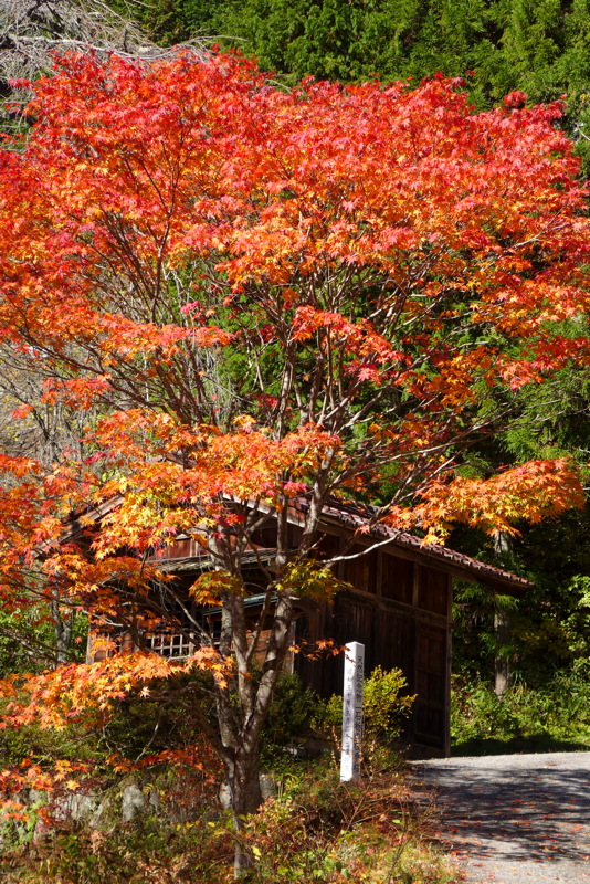 p1020336.jpg