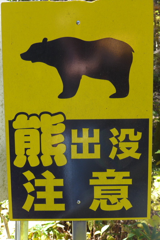 p1020345.jpg