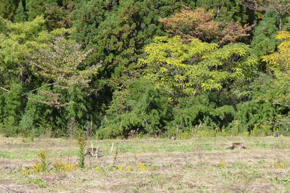 p1020355.jpg