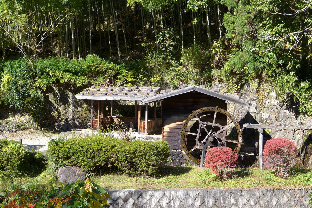 p1020365.jpg
