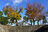 p1020177.jpg