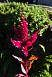 p1020220.jpg
