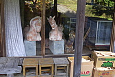 p1020226.jpg