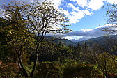 p1020230.jpg