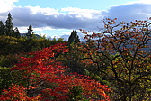 p1020231.jpg