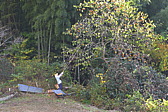 p1020232.jpg