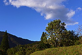p1020239.jpg