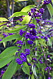 p1020273.jpg