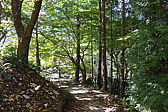 p1020275.jpg