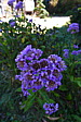 p1020276.jpg