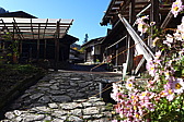 p1020282.jpg