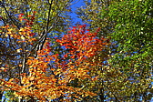 p1020305.jpg