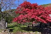 p1020358.jpg