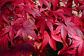 p1020359.jpg
