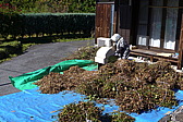 p1020362.jpg