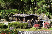p1020365.jpg