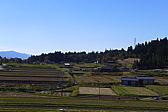 p1020381.jpg