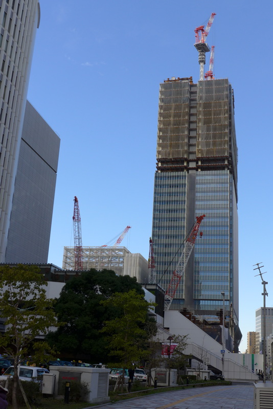 p1020393.jpg