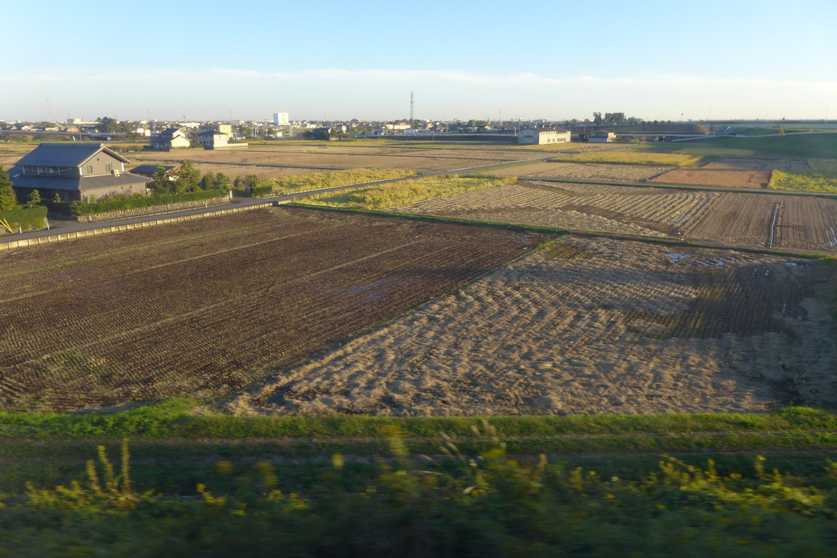p1020416.jpg