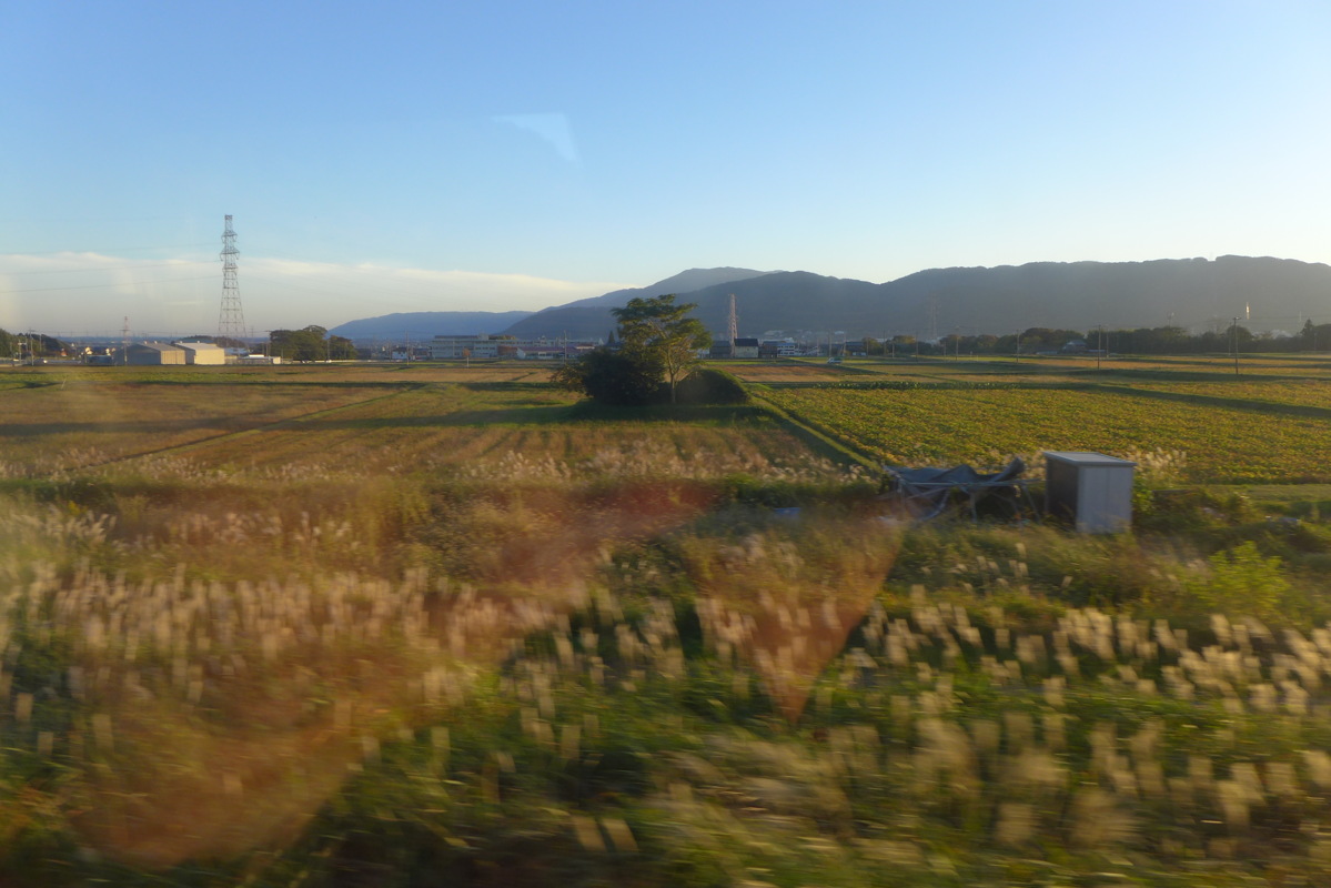 p1020429.jpg