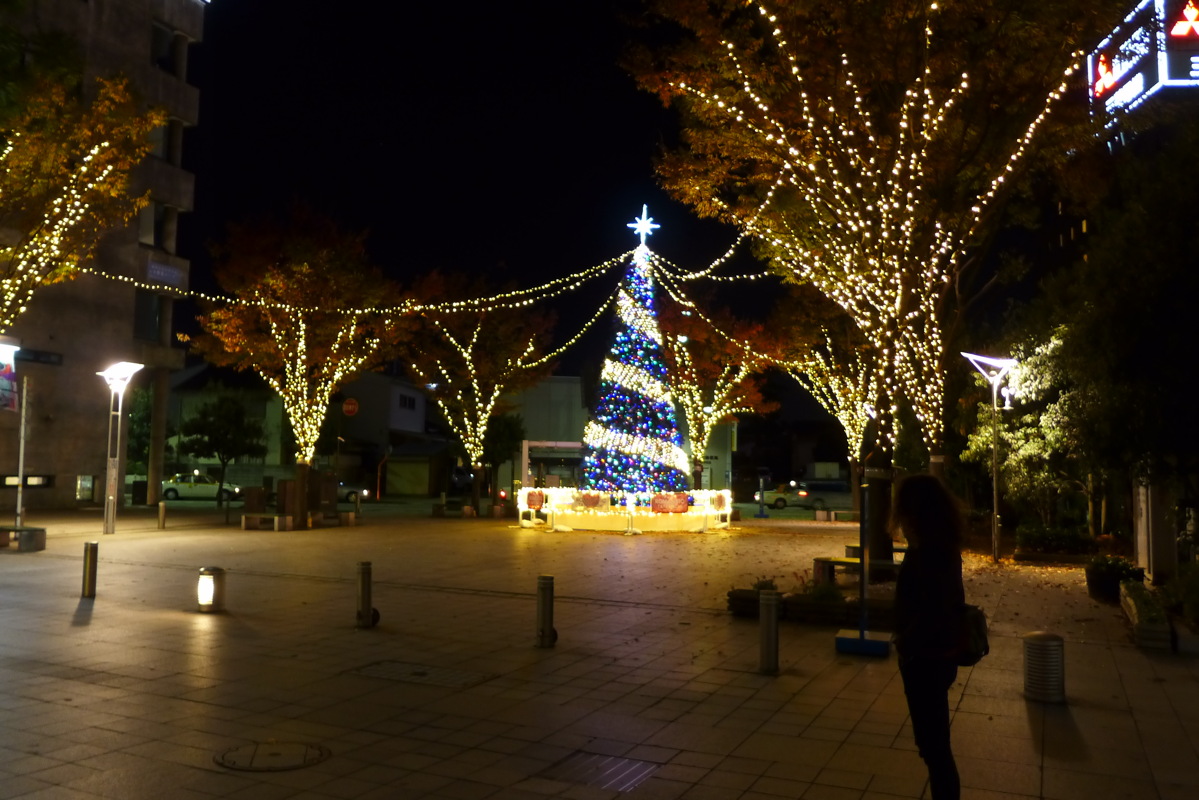 p1020448.jpg