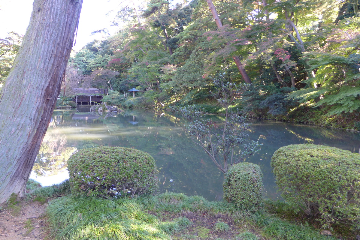 p1020479.jpg