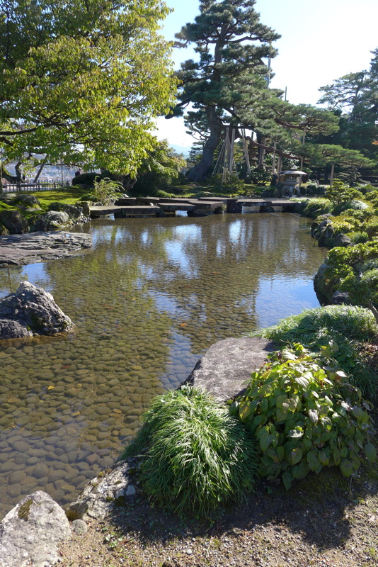 p1020497.jpg