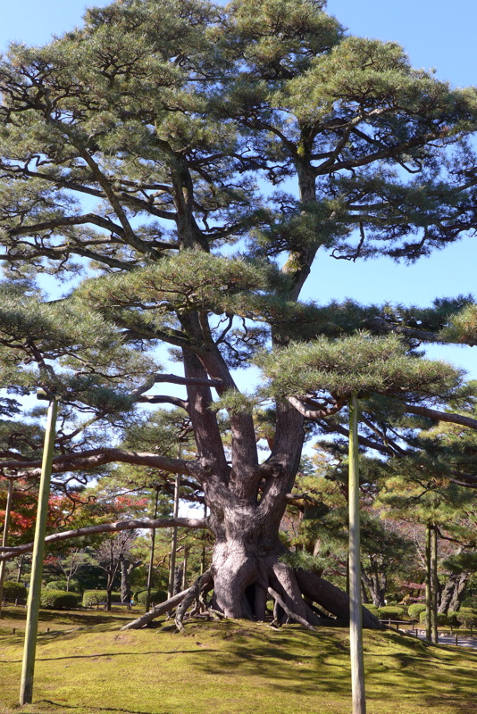 p1020501.jpg