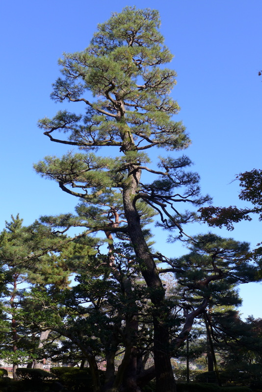 p1020510.jpg