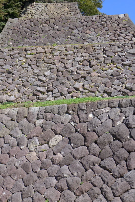 p1020515.jpg