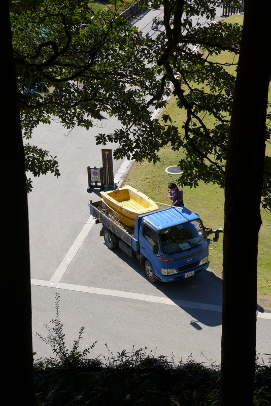 p1020517.jpg