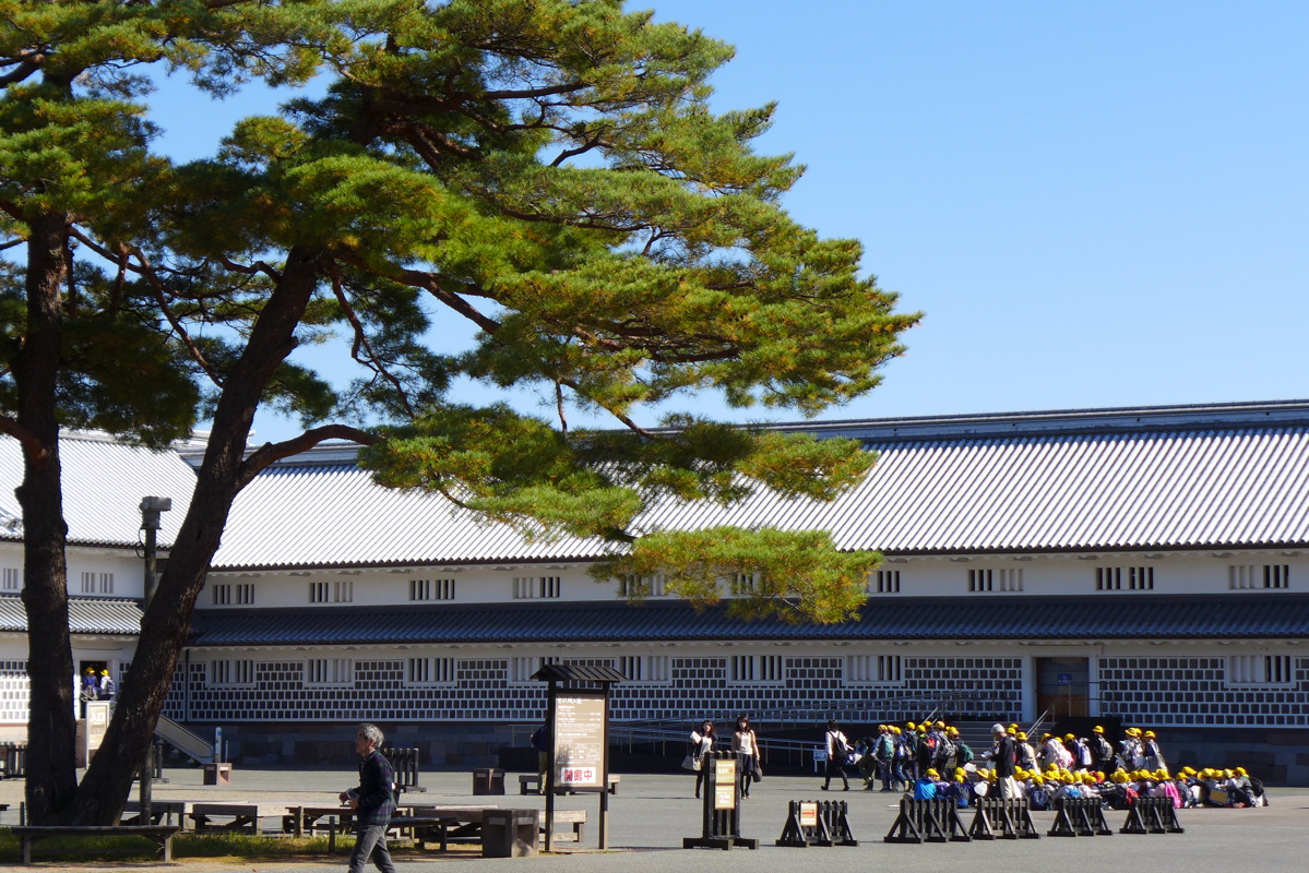 p1020529.jpg