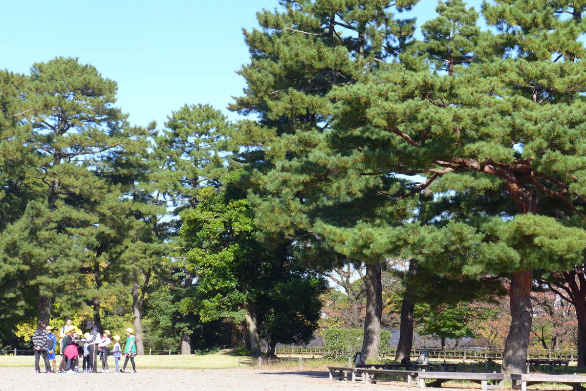 p1020530.jpg
