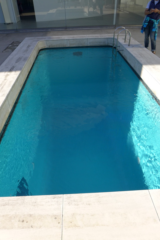 p1020536.jpg