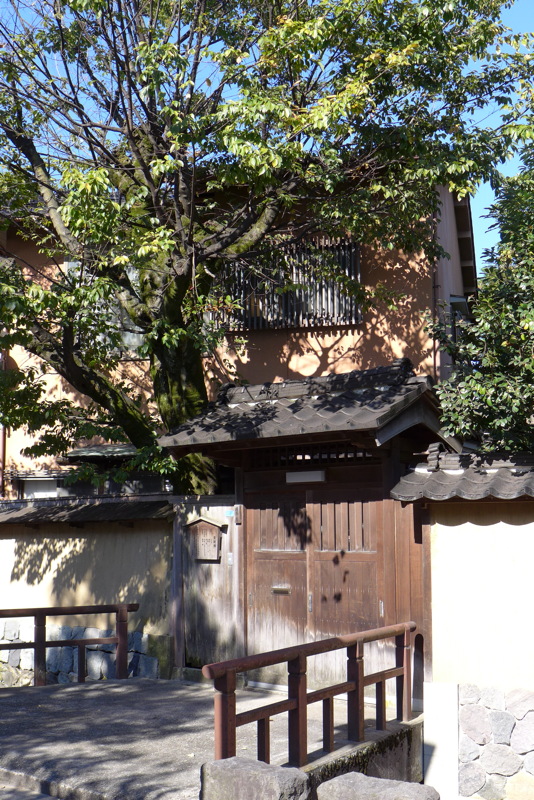 p1020548.jpg