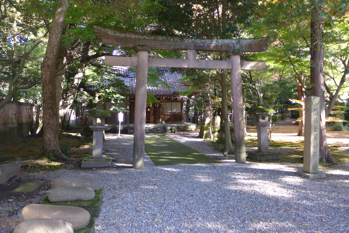 p1020575.jpg