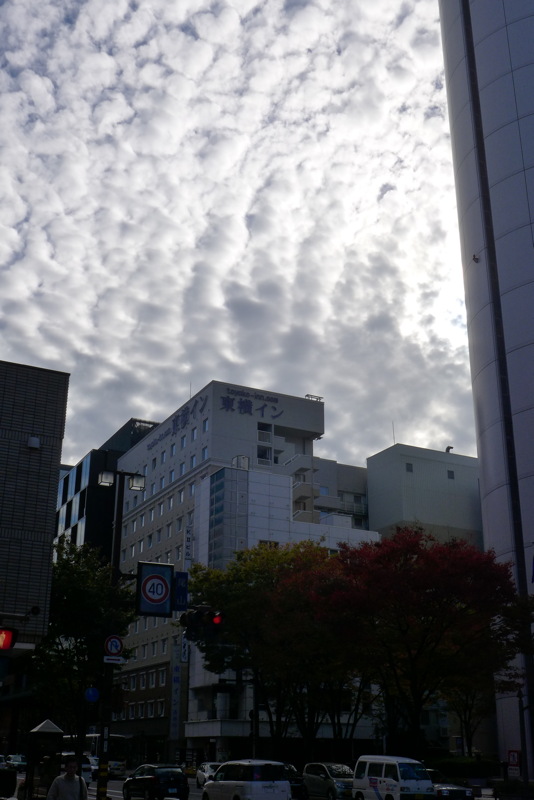 p1020584.jpg