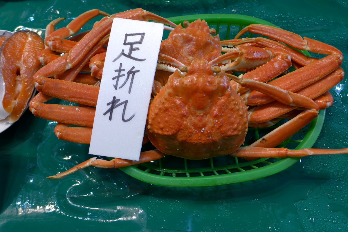 p1020598.jpg