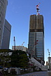 p1020393.jpg