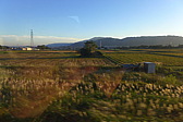 p1020429.jpg