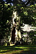 p1020489.jpg