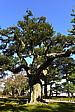 p1020502.jpg