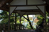 p1020503.jpg