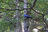 p1020508.jpg
