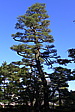 p1020510.jpg