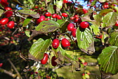 p1020511.jpg