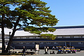 p1020529.jpg