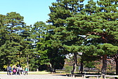 p1020530.jpg