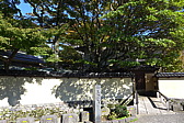 p1020546.jpg